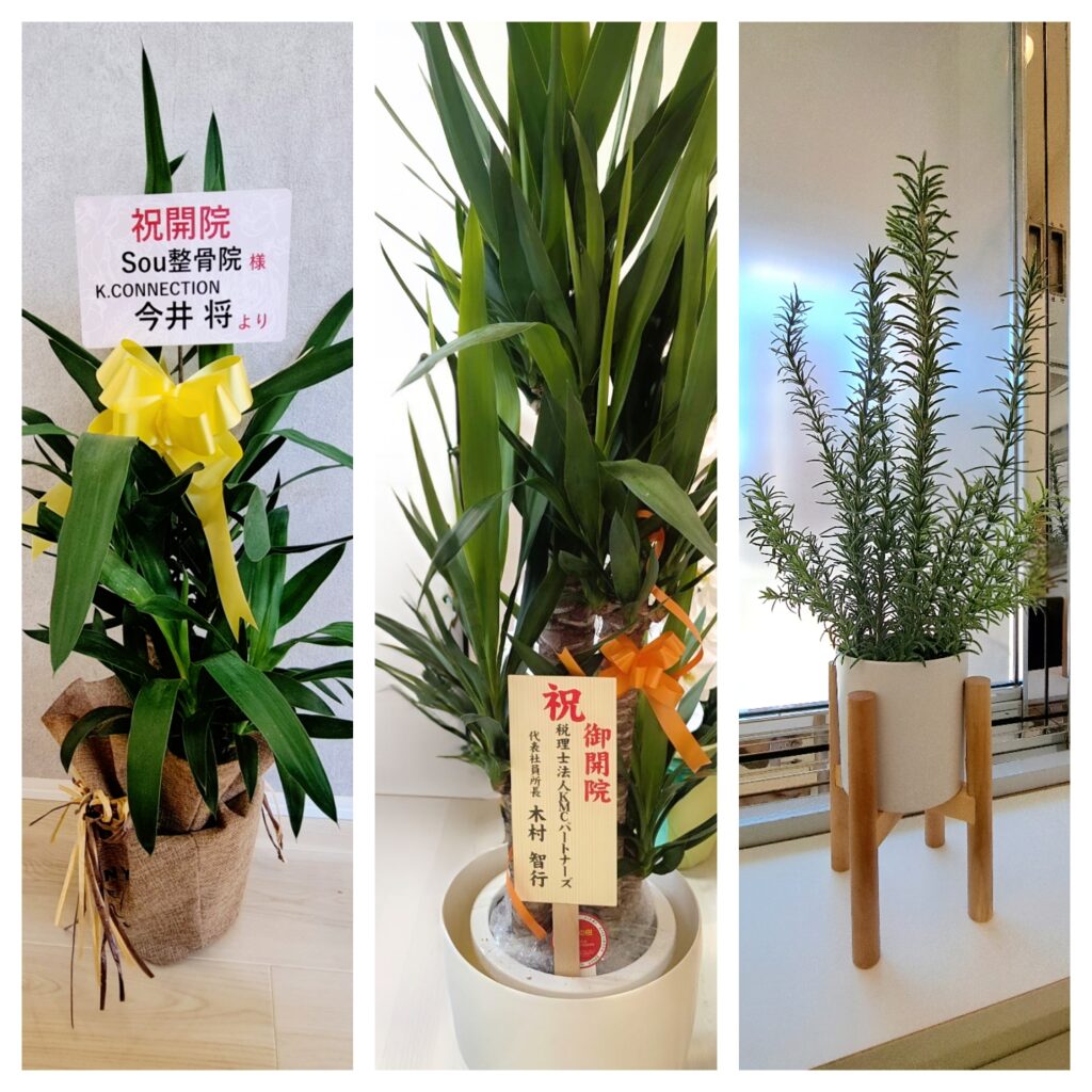 心あたたまる贈り物に感謝｜森下のSou整骨院スタッフ一同より